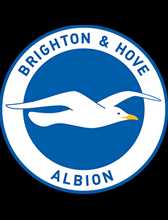 Logo Brighton and Hove Albion FC