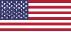 Flag of the United States.svg.png