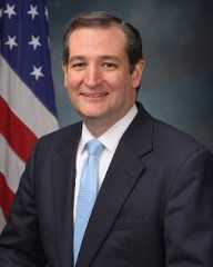 Ted Cruz (R) 88%