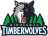 Minnesota Timberwolves