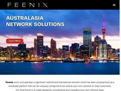 The website screenshot for http://www.feenix.co.nz/