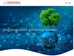 The website screenshot for https://csn.solutions