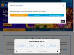 The website screenshot for https://www.igt.com/