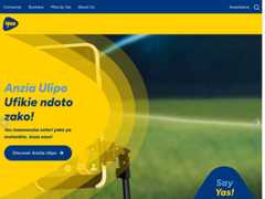 The website screenshot for http://www.yas.co.tz