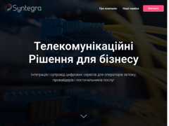 The website screenshot for http://syntegra.systems