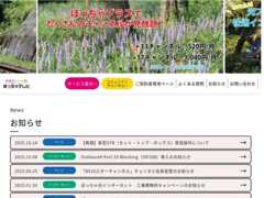 The website screenshot for https://www.hot-cha.tv/