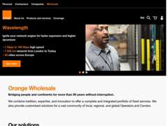 The website screenshot for https://www.orange.ro/wholesale/en/