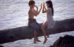 Schnee, der auf Zedern fällt – Bild: Icon Entertainment International Lizenzbild frei