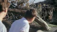 Boar – Bild: Silverline