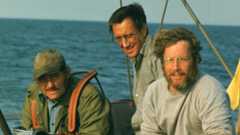 Der weiße Hai – Bild: Copyright 1975 Universal City Studios, Inc. All Rights Reserved.