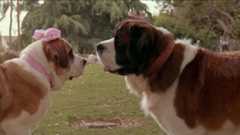 Eine Familie namens Beethoven – Bild: Unknown