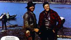 Der Ruf der Wildnis – Bild: ZDF und © Central Cinema Company Film (CCC)./​© Central Cinema Company Film (C