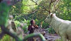 Snow White and the Huntsman – Bild: ORF/​Universal