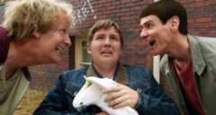 Dumm und Dümmehr – Bild: RTL /​ DDTo Finance, LLC.