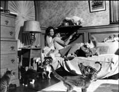 Grüne Augen in der Nacht – Bild: 1968 NBCUniversal ALL RIGHTS RESERVED. Lizenzbild frei