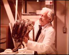 Dr. Carl Stoner (Martin Strother) will das ideale Geschöpf erschaffen – ein Lebewesen mit der Intelligenz eines Menschen und dem Überlebenswillen einer Schlange. Jedes Mittel ist ihm dabei recht … – Bild: 1973 Universal Pictures. All Rights Reserved. Lizenzbild frei
