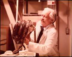 Snake Kobra – Bild: 1973 Universal Pictures. All Rights Reserved. Lizenzbild frei