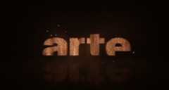 Wie unser Gehirn uns austrickst – Bild: arte