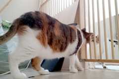20170927_03.jpg