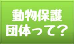 保護団体って？