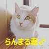 IMG_20181215_161248_886.jpg