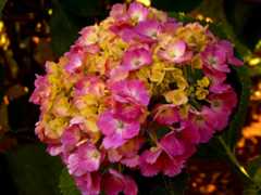 DSC01611_20190606180709323.jpg
