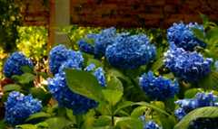 DSC01626_201906061811155a4.jpg
