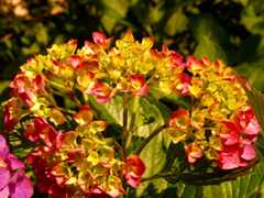 DSC01661_20190606181640612.jpg