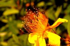 DSC01665_201906061816432be.jpg
