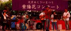 DSC01831_20190611181225636.jpg