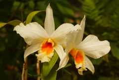 DSC02045.jpg