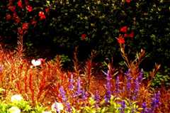 DSC02108.jpg