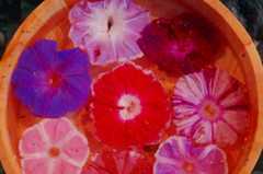 DSC02901_20190706231624679.jpg