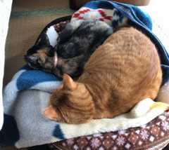 image2_2019123021342619e.jpeg