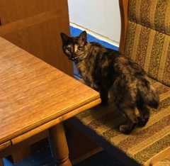 image5_20191230213427393.jpeg