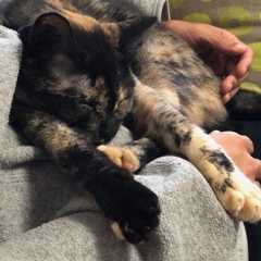 image6_20191230213429691.jpeg