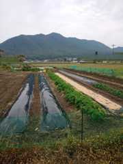 DSC_1301 (1)
