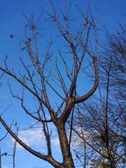 DSC_1661.jpg