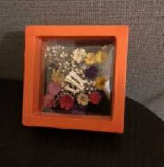 image1 (2)