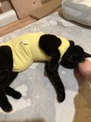 image1_2021032216551072c.jpeg