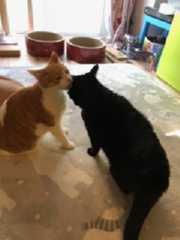 image4_20210305165022280.jpeg