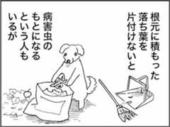 kfc02179-1