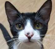 IMG20210911230039_20211027161619fed.jpg