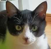 IMG20220527093400.jpg