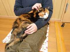 DSC_4921_202203261759195a4.jpg