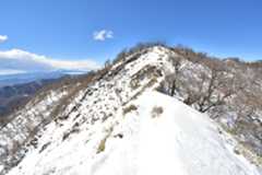 D72_3663.jpg