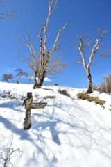 D72_3669.jpg