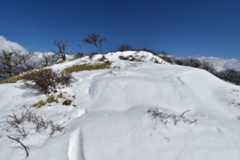 D72_3724.jpg