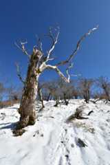 D72_3749.jpg