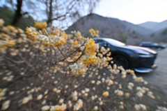 Z50_0021.jpg